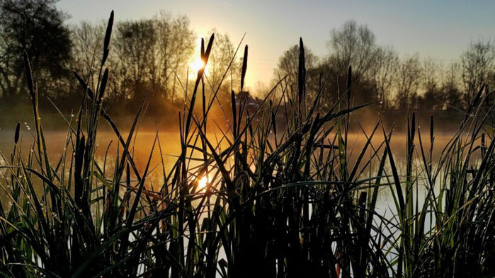 Днес е последният студен ден за месеца Утре живакът ще